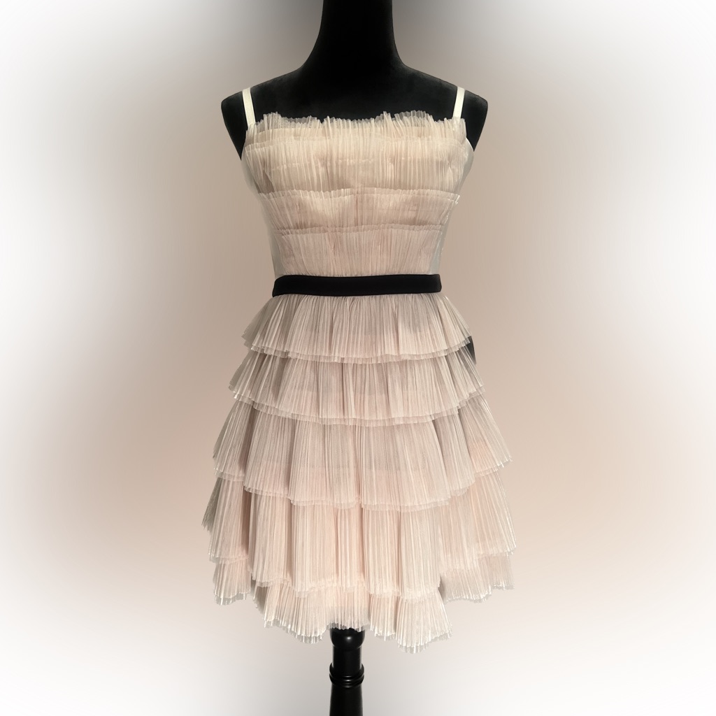 Nwt Bcbg Rayna Strapless Dress Size 6 & 8